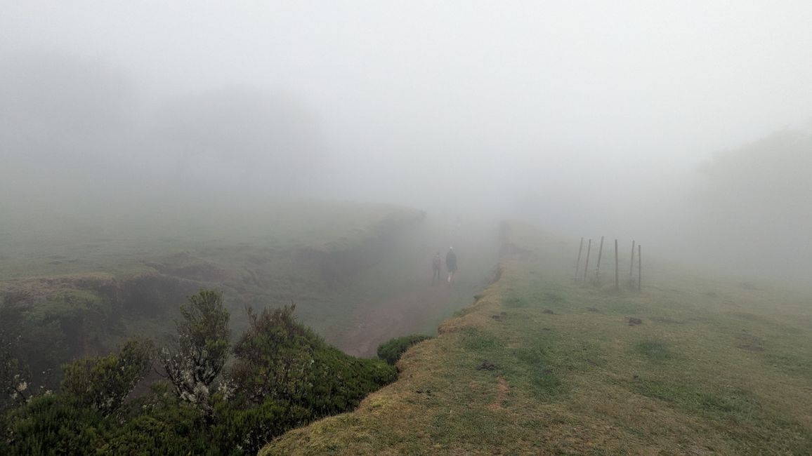 Tag 10: Levada das 25 Fontes und Risco & Feenwald
