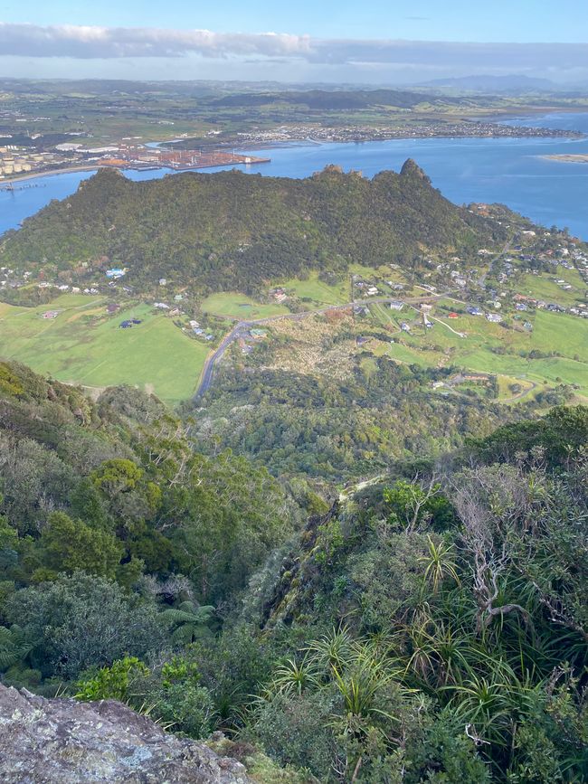De whangarei à auckland