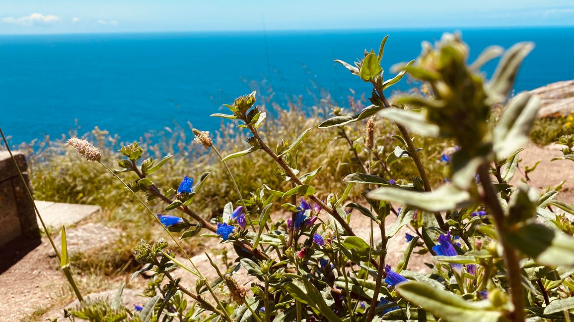 Tag 16 Olveiroa - Finisterre
