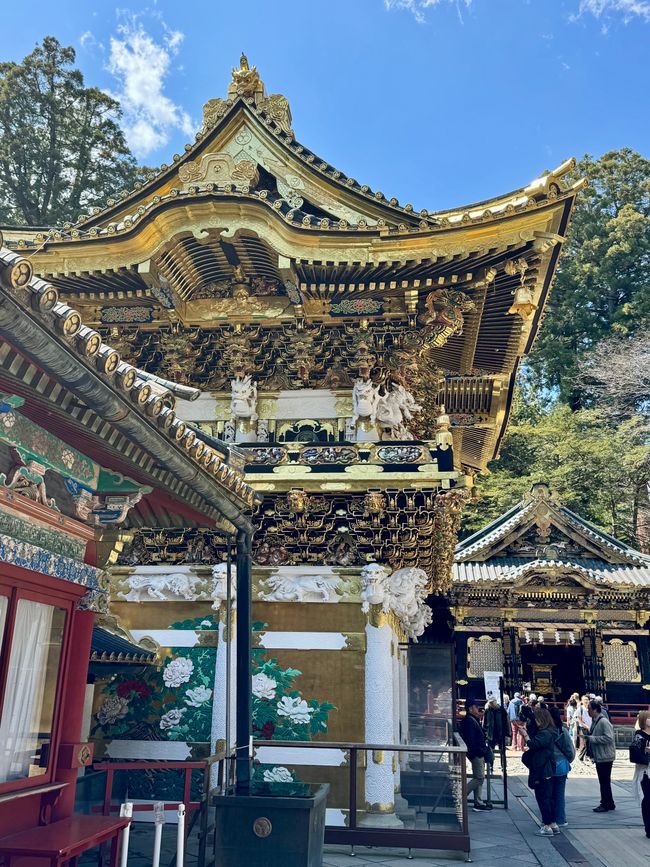 Parte 7
BENVENUTO IN GIAPPONE 🇯🇵
TOKYO