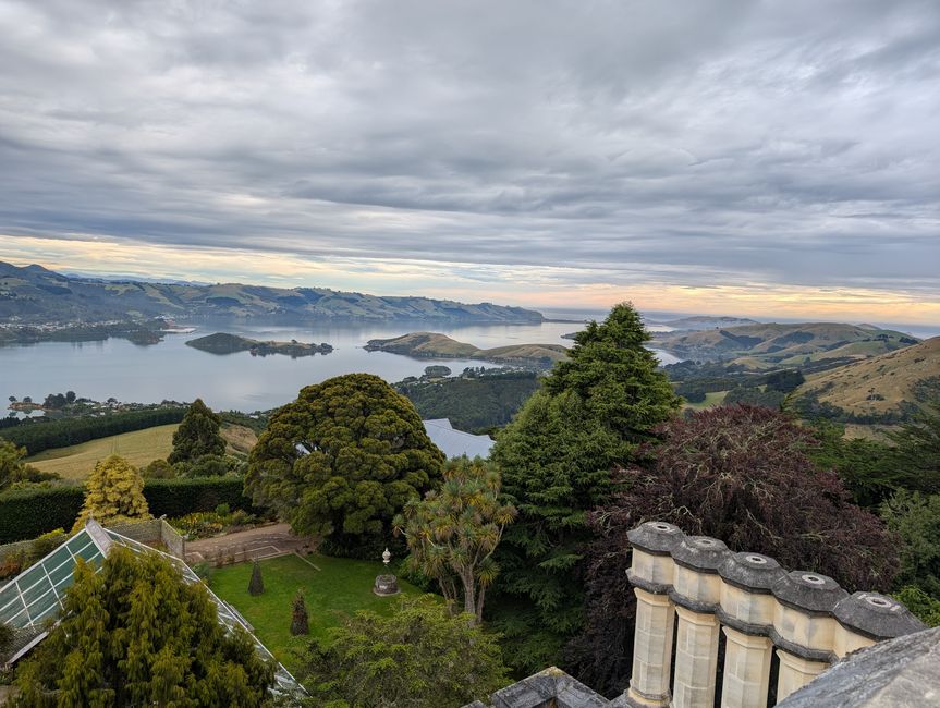 Dunedin - Manapourie