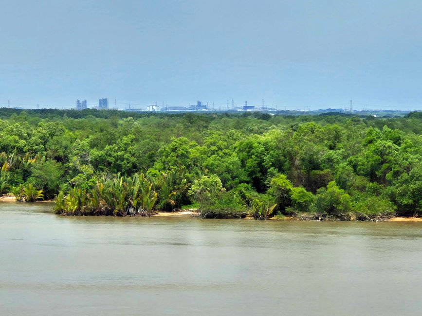Blick auf Hồ Chí Minh über den Dschungel