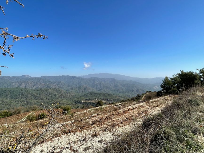 The “Fidel Castro of Cyprus”, vineyards and views of Mount Olympus