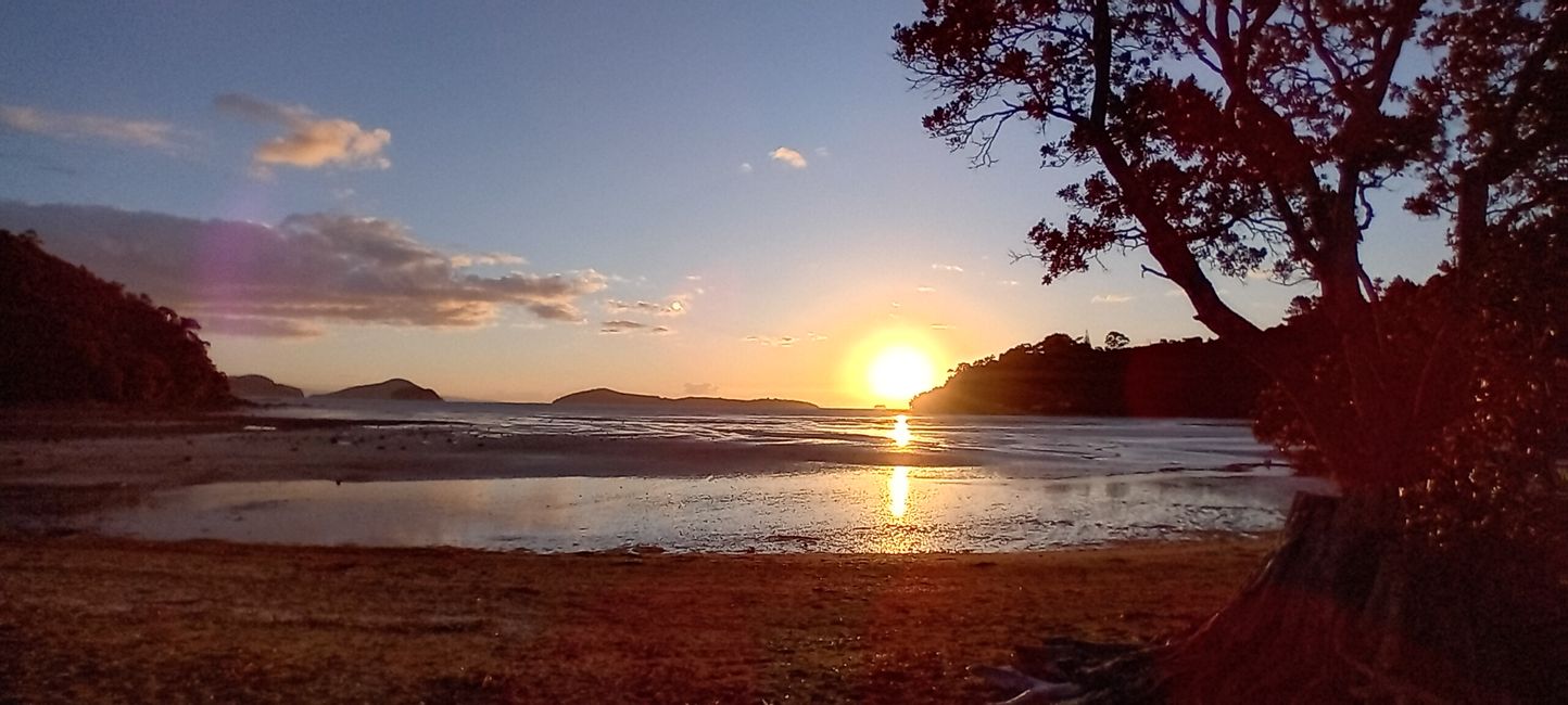 Coromandel Norte
