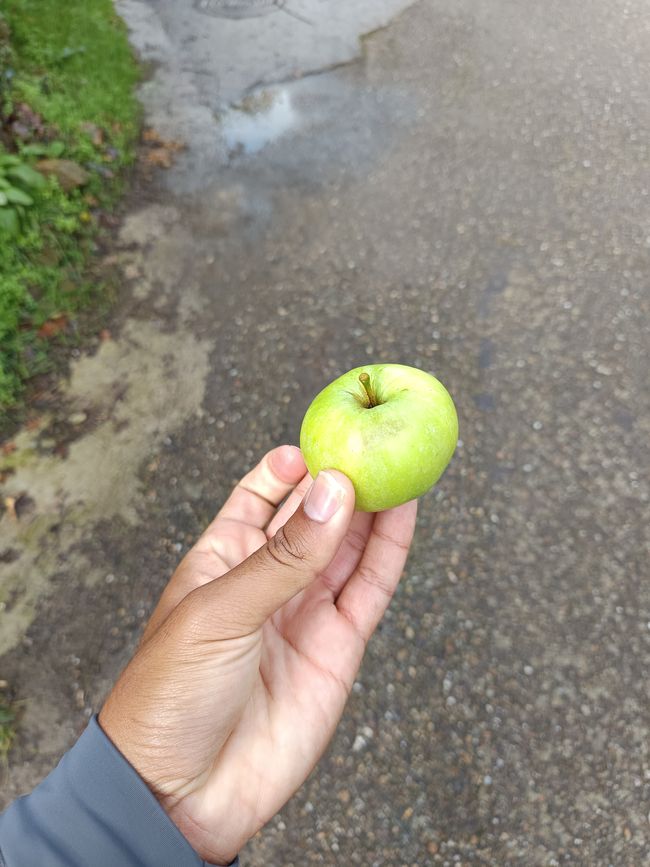 Einen Apfel gefunden als Notration 