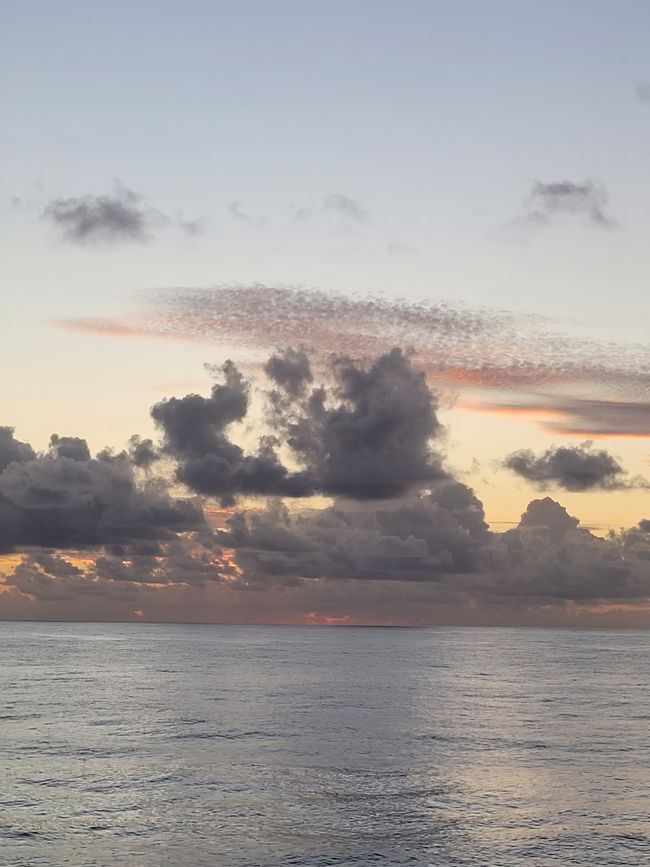 Jour 59 à 61 sur 175 : Croisière autour du monde - Jours en mer des îles Pitcairn à Fakarava