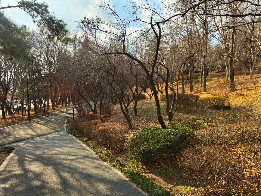 Botanischer Garten in Namsan