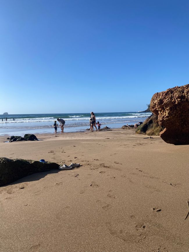 Coromandel loop