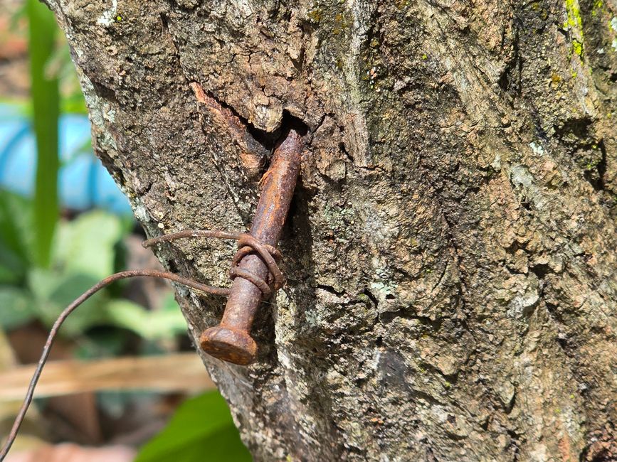 Aki Ra's Cambodia Landmine Museum