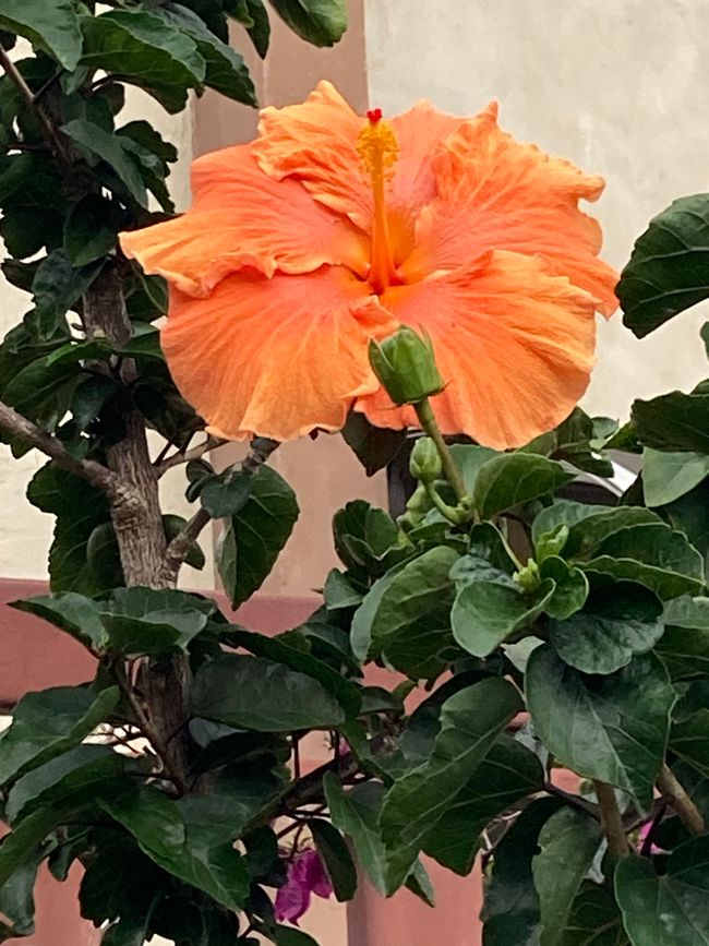 Nach einem Durchhänger geht es wieder aufwärts