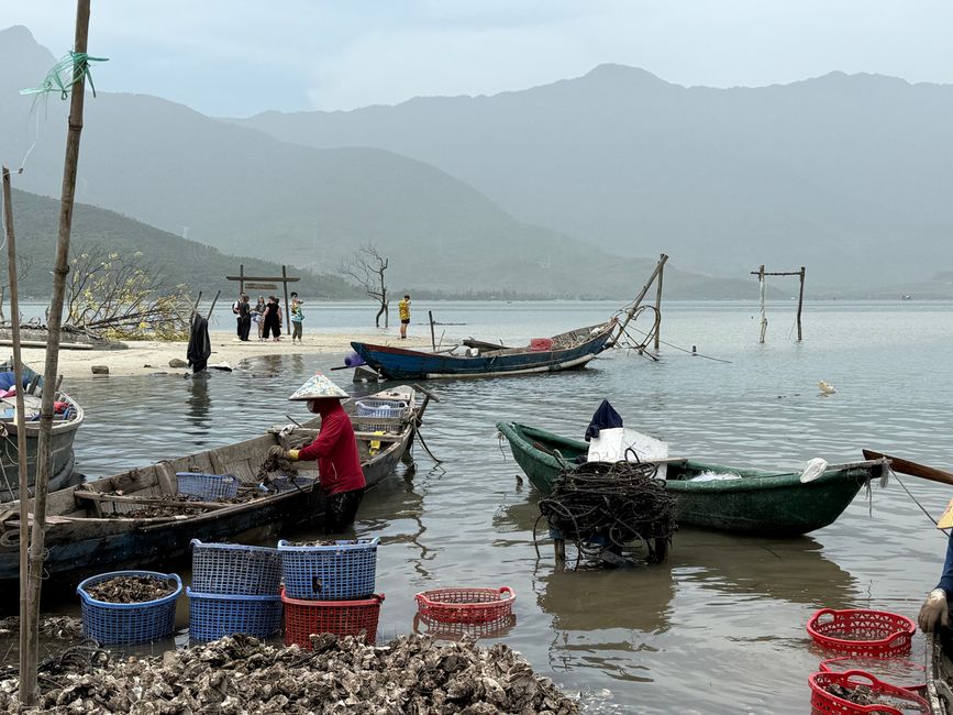 Pêcheurs d'huîtres