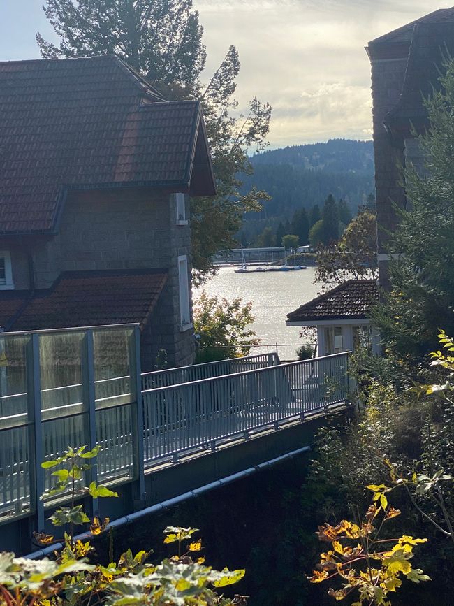 Diese Brücke führt vom Ufer zum Fußweg