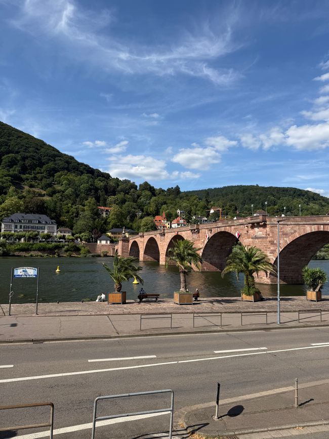 📍Heidelberg