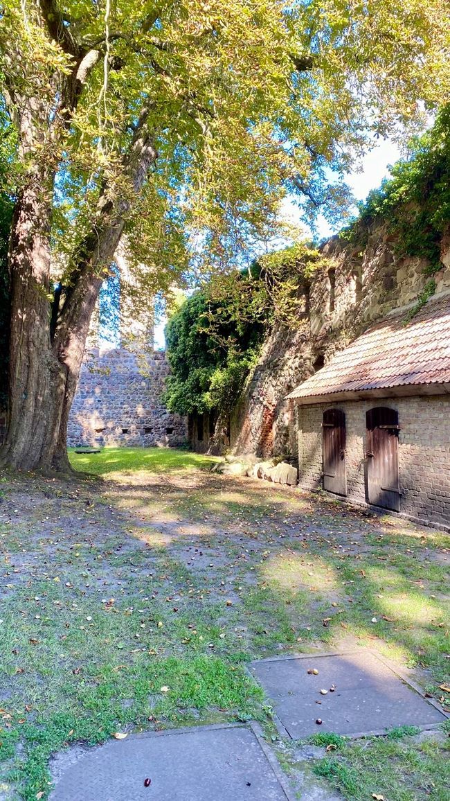 Zehdenick as the Finale – and the next journey is already waiting