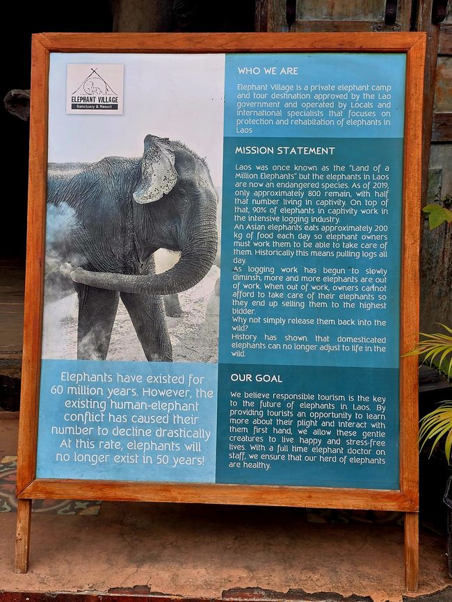 Luang Prabang - worauf kommt es an?