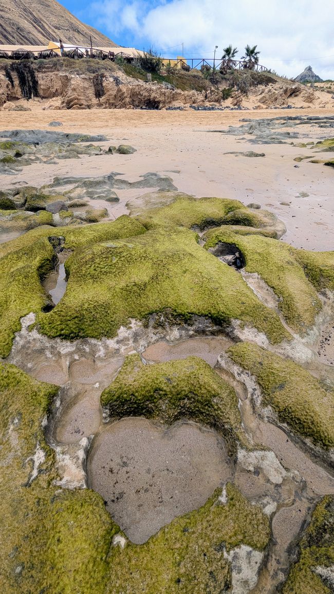 Tag 3: Porto Santo - Geheime Höhlen & bizzare Felsen am Meer