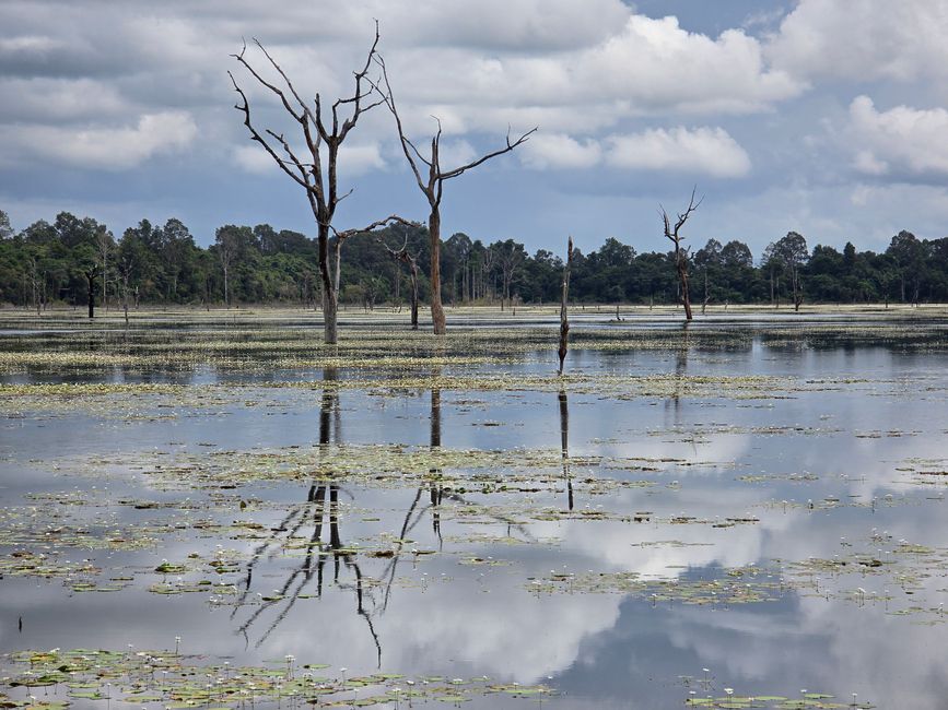 Alles kommt anders... - oder: Die Tempelanlagen von Angkor