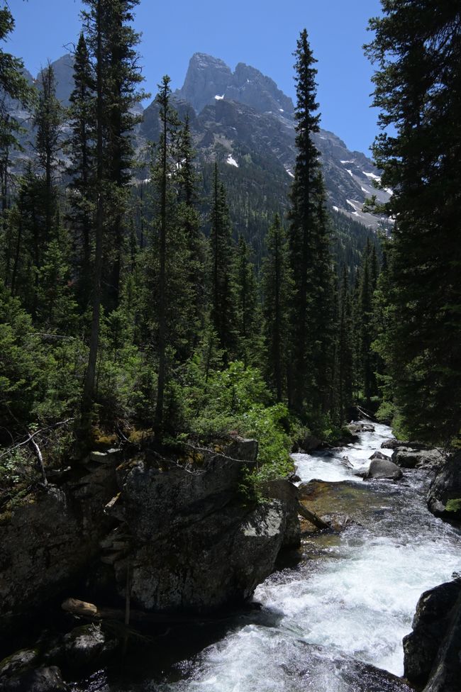 Cascade Valley Track