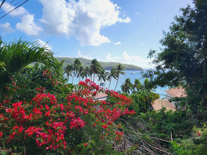 Christmas in the Caribbean - Martinique (Cruise with the Royal Clipper)