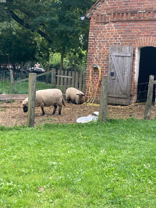 Friedland, wo alles so friedlich ist