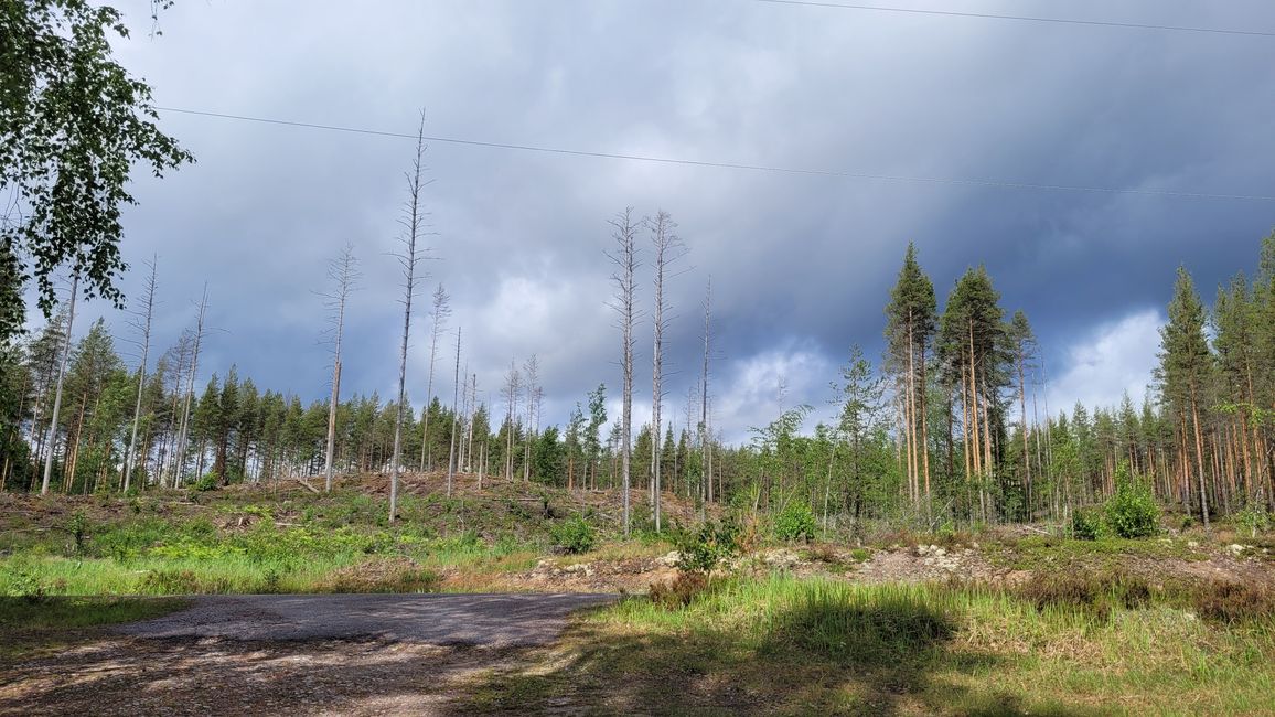 Finnland 31.Mai-14.Juni 2024/10.Juni