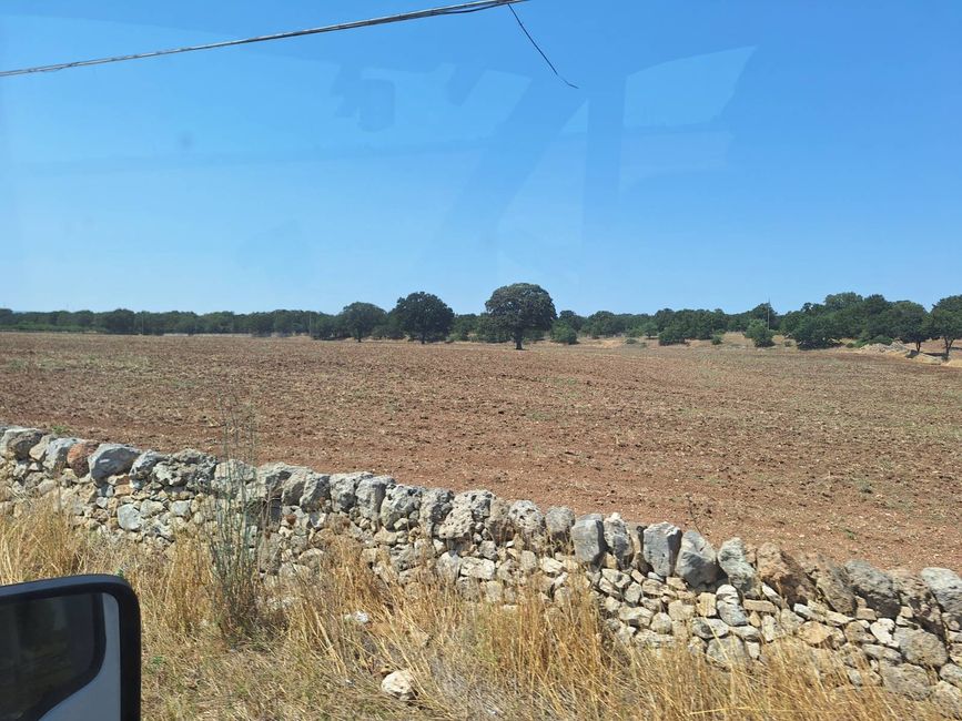 Gargano y Punta Lunga