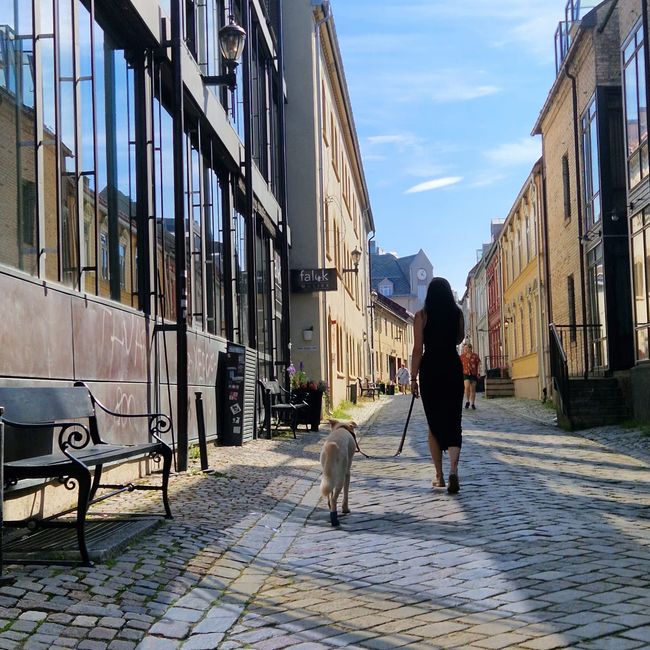 Trondheim 2.0