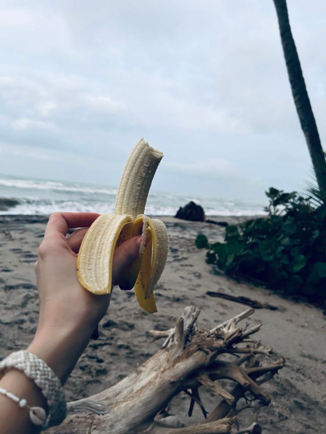 Tag 16+17: Playa María 🛖