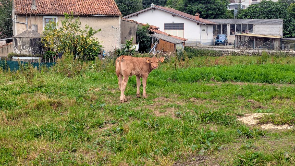 9. Etappe Camino del Norte von Santillana del Mar nach Comillas