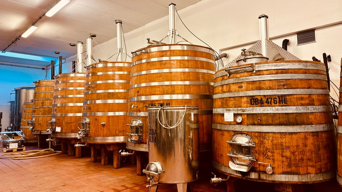 Toskana - Zwischen sanften Hügeln, gutem Wein und italienischer Lebensfreude!