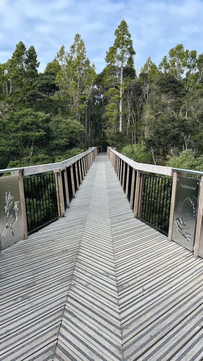 Kauri Glen Reserve