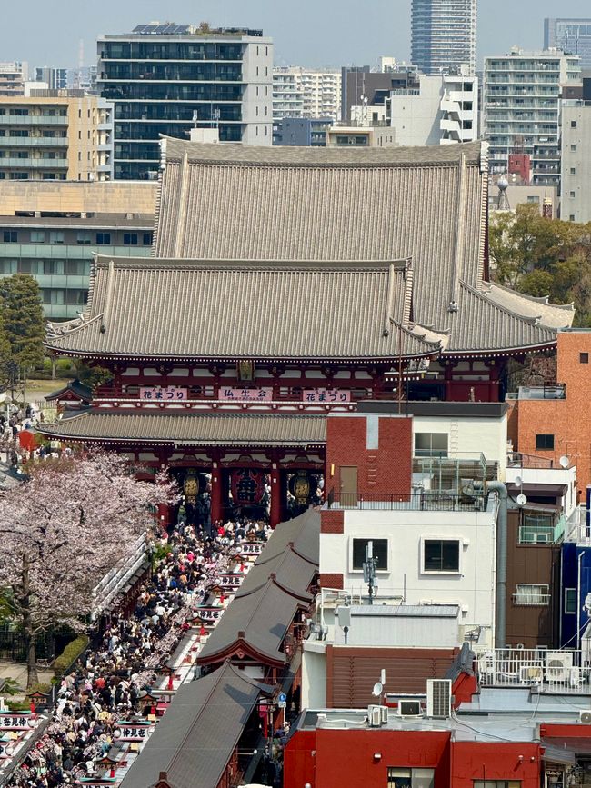 Parte 7
BENVENUTO IN GIAPPONE 🇯🇵
TOKYO