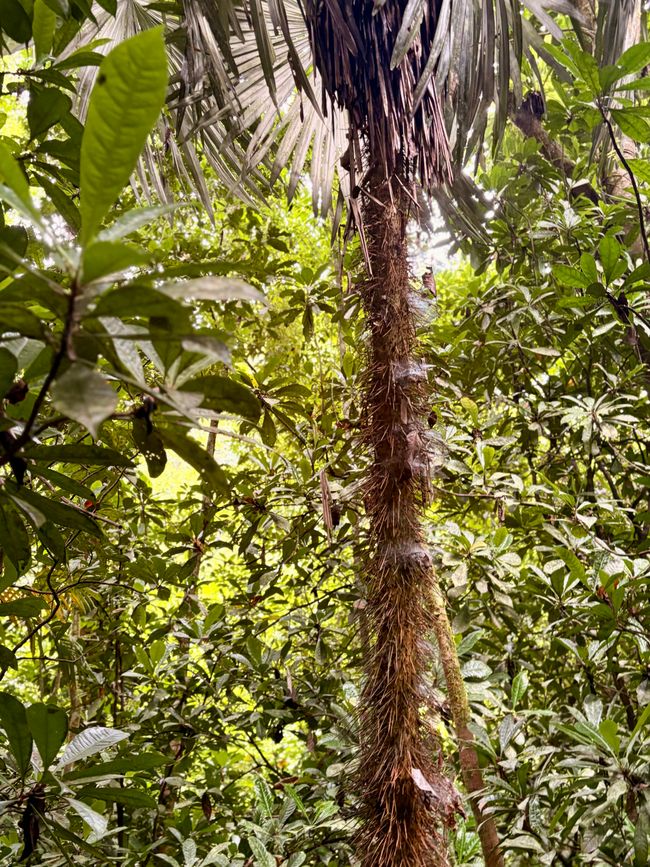 Unterwegs in Costa Rica