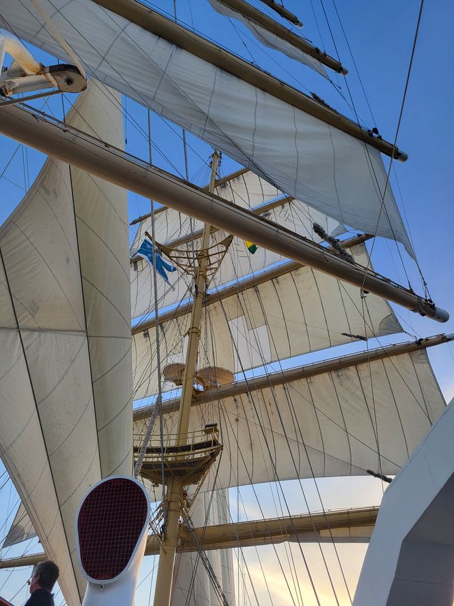 Royal Clipper