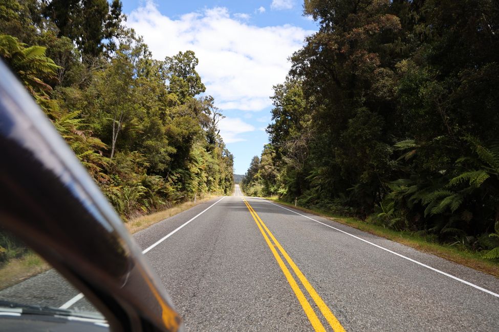 West Coast bis Jackson Bay