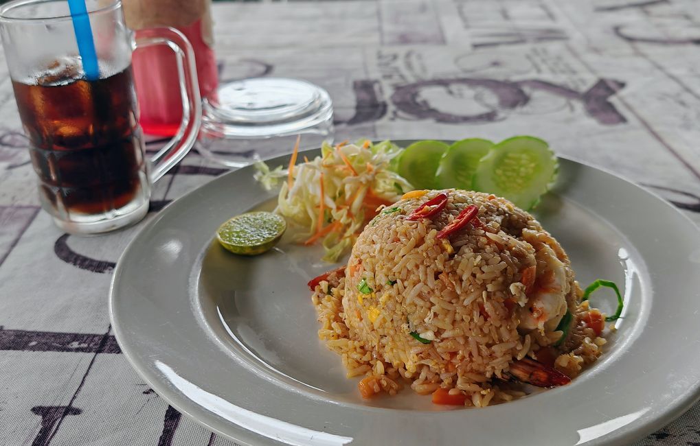 Eine Woche Tauchsafari mit der MV Bavaria 