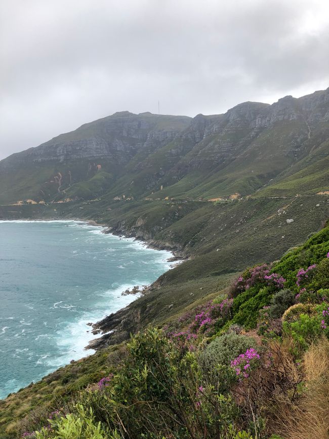 #5 - Ciudad del Cabo - En el Cabo de Buena Esperanza