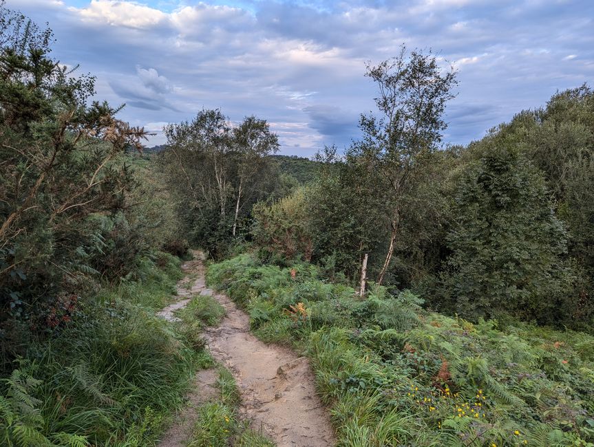 Die Straße der Ölsardinen (Camino del Norte 2)