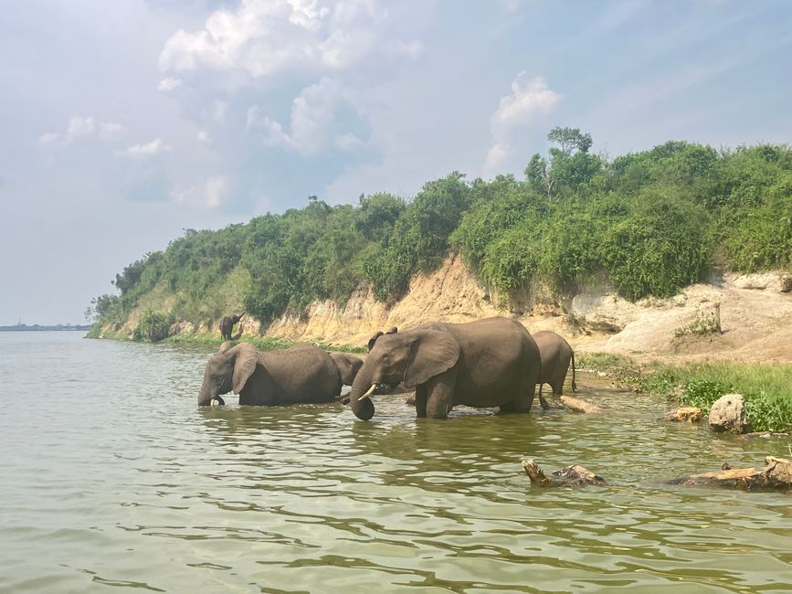 Queen Elizabeth Nationalpark