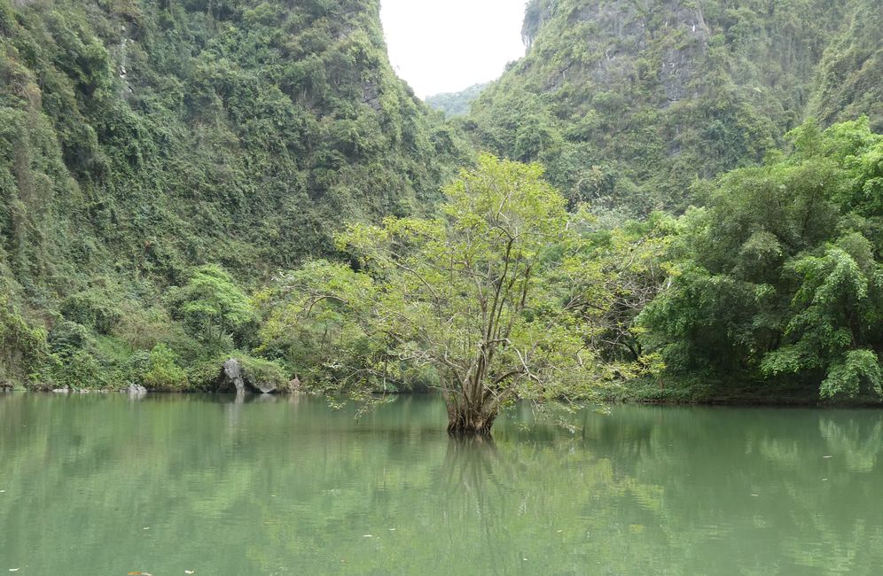 Un'isola?