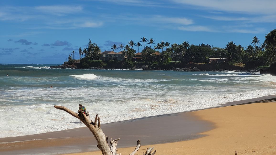 die immerwährende Frage. warum haben wir hier kein Strandhaus???