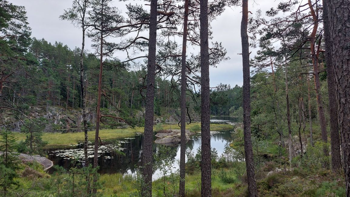 Halden – Tresticklans NP – Halden
