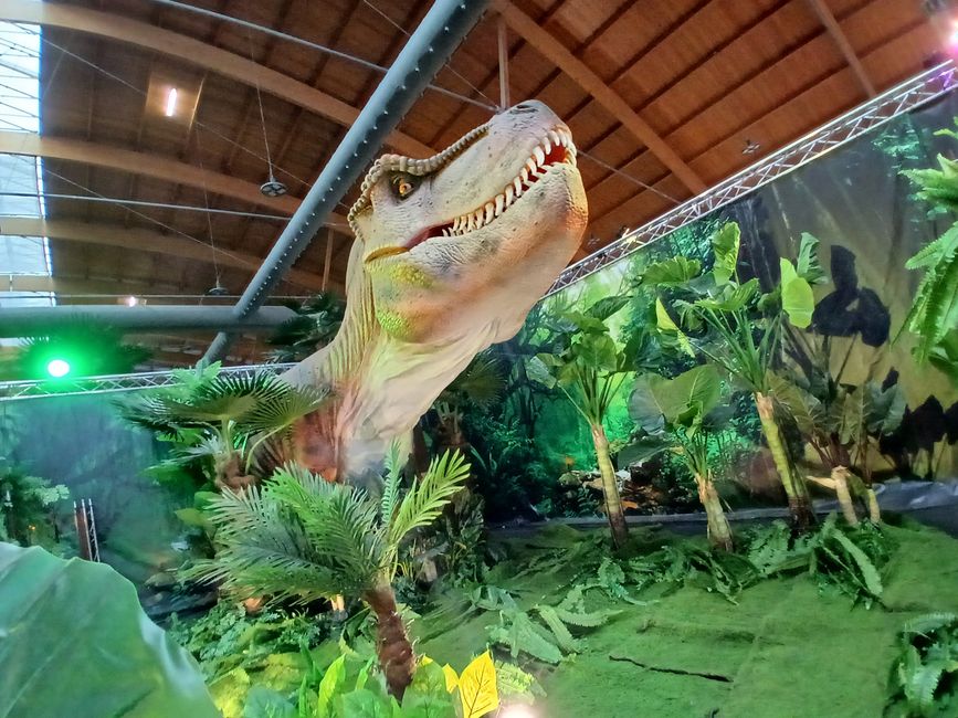 Dino Fever in Friedrichshafen: An Honest Look into the "Kingdom of Dinosaurs"
