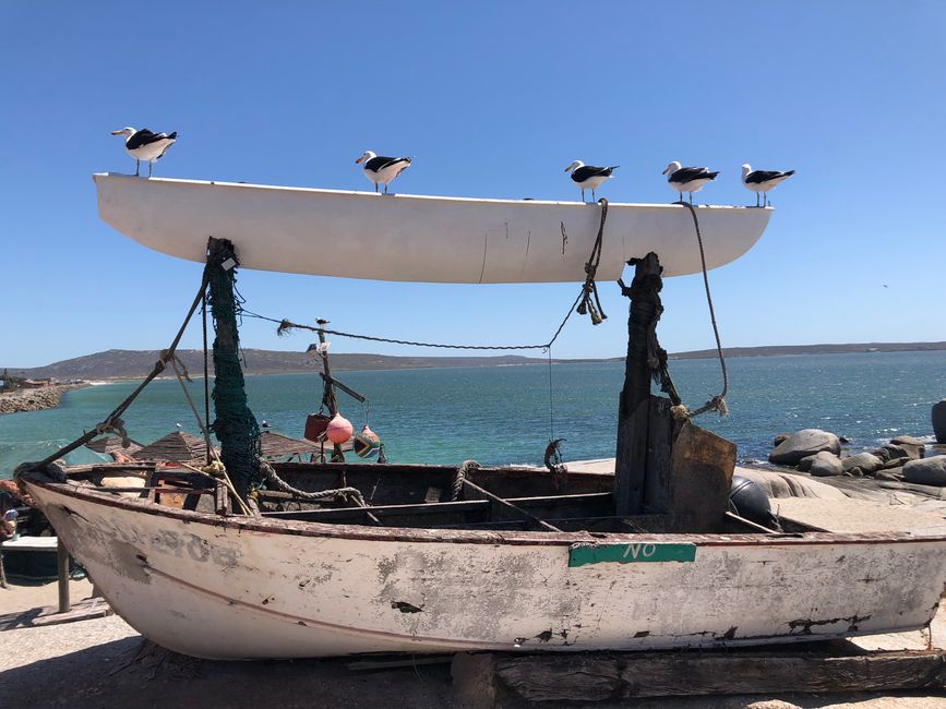 Südafrika - Langebaan