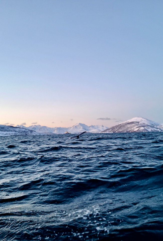 Norwegen - Tromsø im Winter