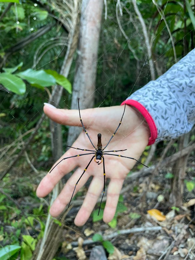 Wildlife by the roadside