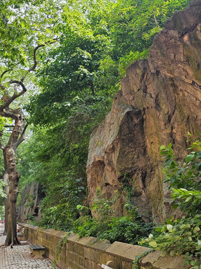 Central Park "Spaziergang"