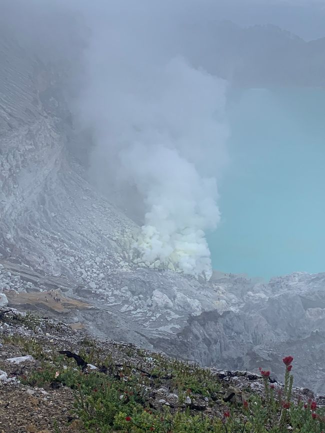 Ijen Cratere e Parco Nazionale Bromo Tengger Semeru