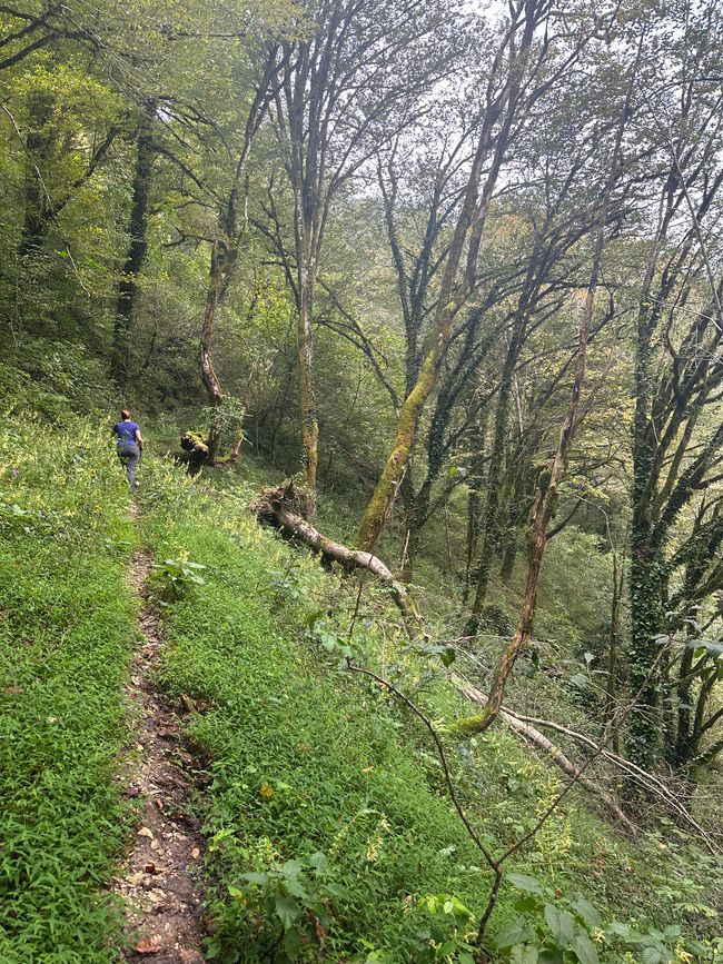 Verso la valle incantata delle cascate