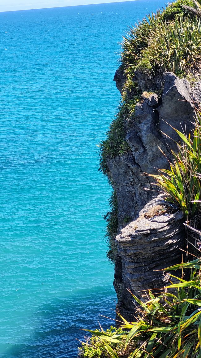 29.Januar-27.Februar 2025 Neuseeland
15.Januar